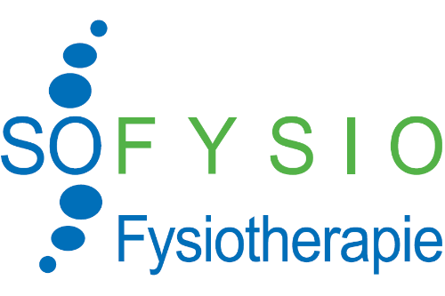 Logo SOFYSIO