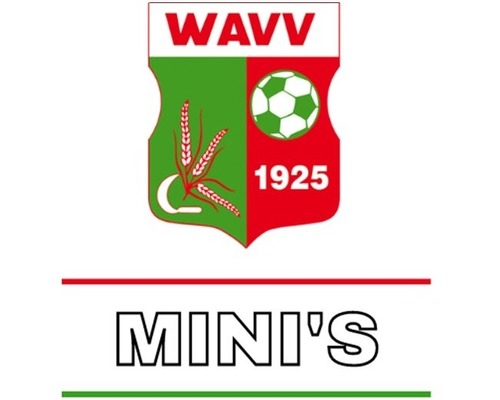 WAVV mini's voetbal