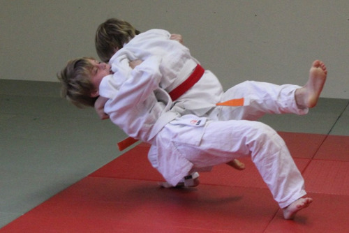 Judo en Bu-Jitsu-Do