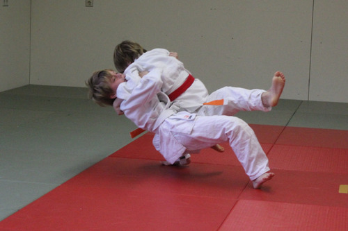 Judo en Bu-Jitsu-Do